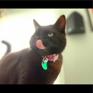 Meet your Posher, Iyanna